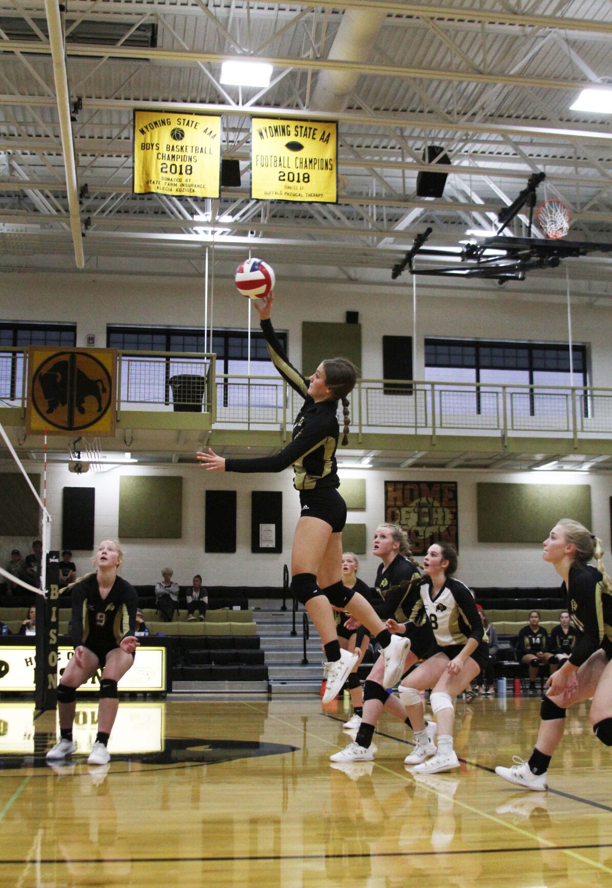 SPO_Buffalo VB 01.jpg